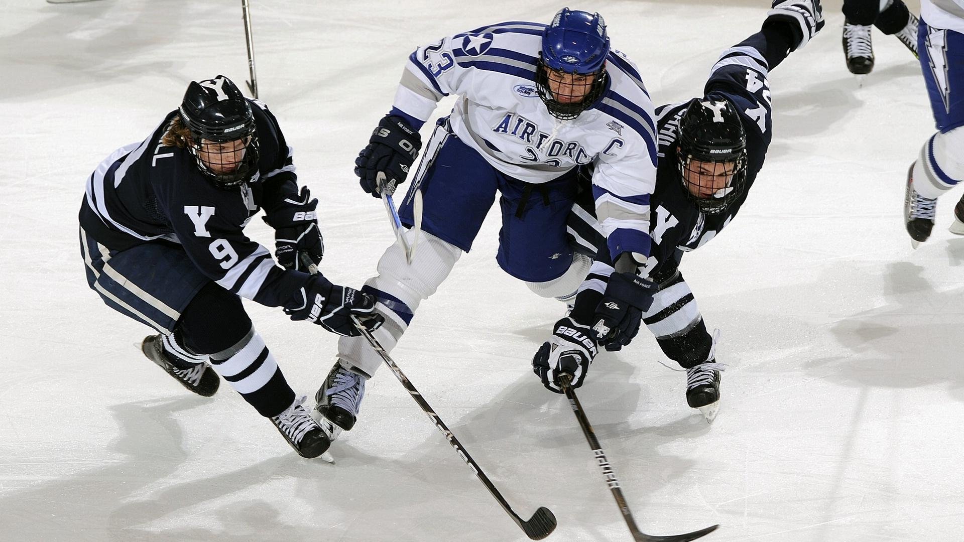 开云体育平台-世界杯赛事安全安检流程提升入场效率